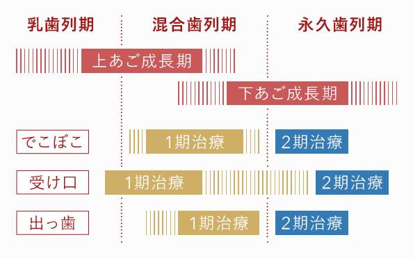 子どもの矯正治療の流れ