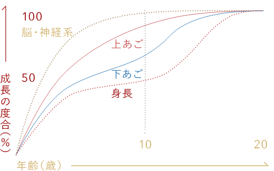 成长发育的时期